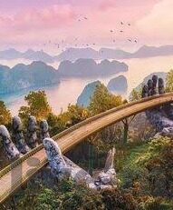 麻豆-传媒app-麻豆-传媒app,数字化浪潮中的一颗新星