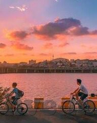 糖心app邀请码兑换-糖心app邀请码的奇妙之旅