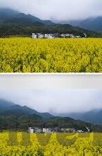 亚洲一区二区在线观看-亚洲文化与网络平台的交融——探索在线观看的多元化视角