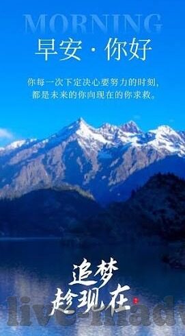 中文字幕被公侵犯的漂亮人妻-美丽人妻的隐秘,中文字幕下的家庭与侵犯的界限